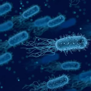 CIDPOVEL-200 Tablets