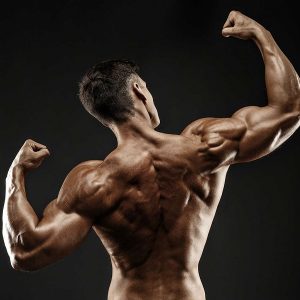 CALFESO-DHA PROTEIN POWDER