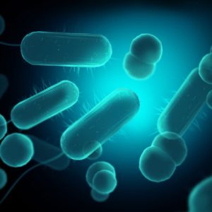 VERCOZITH-250 mg Tablets